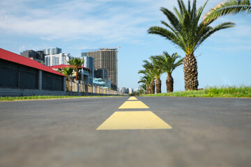 Wall Mural - Bicycle lane with yellow dividing lines painted on asphalt, closeup