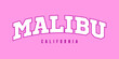 T-shirt stamp graphic, Sport wear typography emblem Malibu vintage tee print, athletic apparel design shirt graphic print