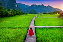 Young Woman Walking On Wooden Path With Green Rice Field In Vang Vieng, Laos.