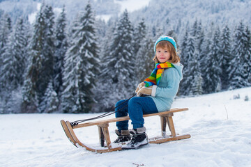 Wall Mural - Funny boy having fun with a sleigh in winter forest woods. Cute children sledging in a snow mountain. Winter activities for kids. Cold and snowy winter mountains.