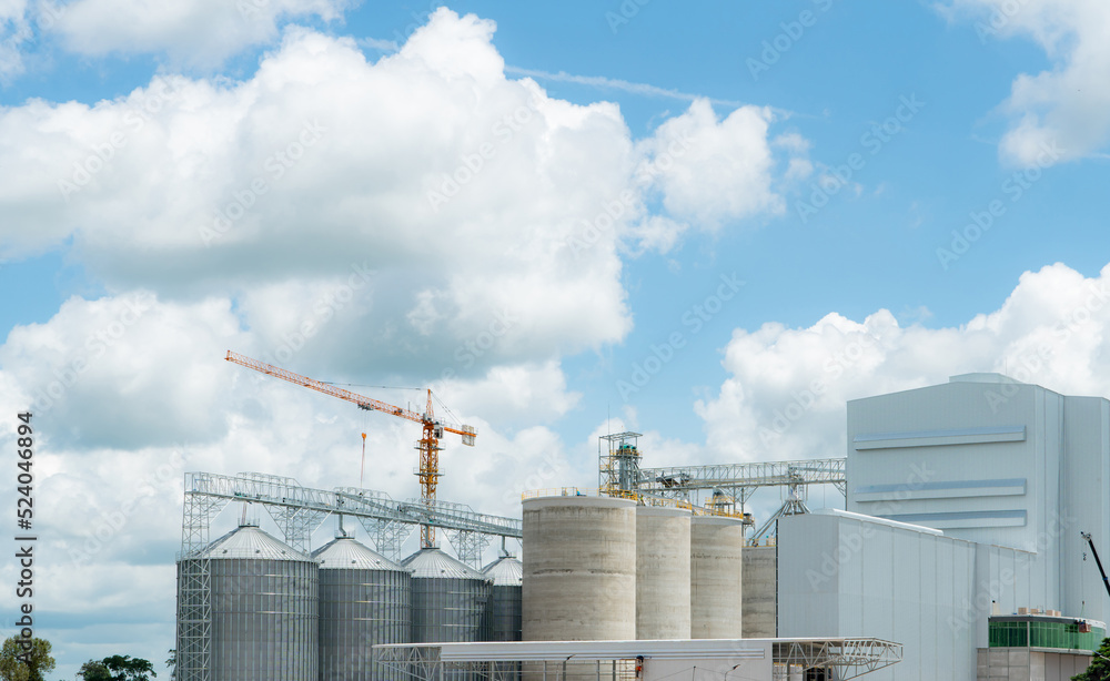 Animal feed factory construction site. Agricultural silo at feed mill factory. Tank for store grain in feed manufacturing. Seed stock tower for commercial animal feed production. Animal food industry.