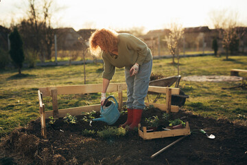 mature woman gardening in her backyard garden