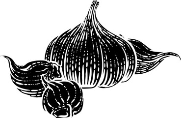 Sticker - Garlic vegetable illustration in a vintage retro woodcut etching style.