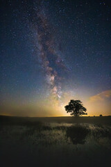 Wall Mural - Milky way in the night sky, deep starry sky with Milky way over head