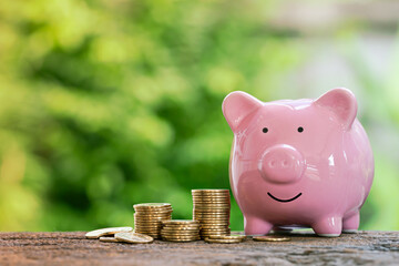 gold coins, pink piggy bank saving money for business growth and future concepts save money and investment green bokeh on wooden background.