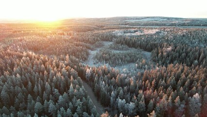 Sticker - Breathtaking winter landscape of frozen lake surrounded by snow-covered pine trees in Sweden