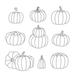 The outline of different pumpkins. Black and white vector illustration with editable stroke.