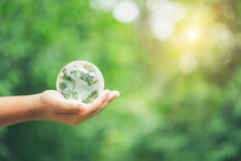 Human Hands Holding Earth Sphere Crystal Or Sustainable Globe Glass With Sunlight At Green Nature Background In Ecology Environment Forest. Concept Of Conservation Environmental, Protection Planet.