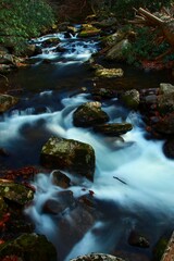 Wall Mural - River Little Stony Creek, Virginia