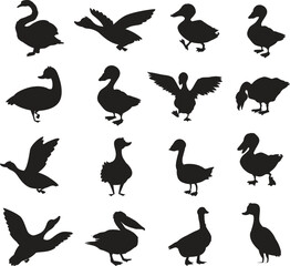 Poster - set of duck character isolated vector silhouettes