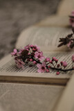 Fototapeta Lawenda - Books and spring, twig in bloom