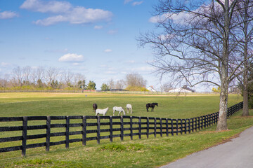 Wall Mural - Early spring countrside landscape.