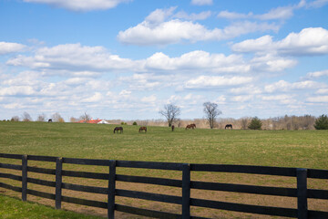 Wall Mural - Early spring countryside landscape.