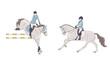 Two riders represent two areas of equestrian sports, show jumping and dressage