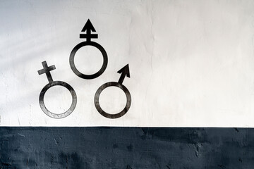 transgender sex gender symbol, concept of equality and love