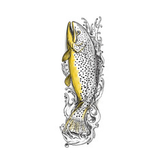 Wall Mural - Brown Trout Swimming Up Tattoo