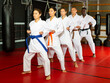 © JackF - Group of people, Caucasian, African-american, Hispanic, Asian people in kimono standing in row doing kata moves in gym.