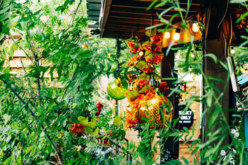 Lights hanging in the garden, day