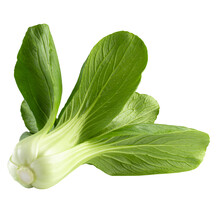 Young Organic White Bok Choy Or Bak Choi Chinese Cabbage Isolated On Alpha Backgound