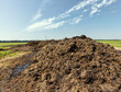 Manure for fertilizing the soil in the field
