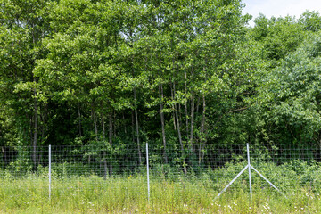  Metal fences for animal protection