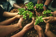 © Camerene Pendl/peopleimages.com - A diverse group of sustainable people holding plants in an eco friendly environment for nature conservation. Closeup of hands planting in fertile soil for sustainability and organic farming