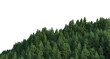 © jomphon - Coniferous forest on a transparent background