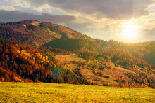 Mountain Landscape In Autumn At Sunset. Wonderful Countryside With Trees In Colorful Foliage And Grassy Meadows. Sunny Nature Scenery In Evening Light With Fluffy Clouds On The Sky