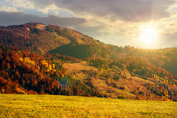 Wall Mural - mountain landscape in autumn at sunset. wonderful countryside with trees in colorful foliage and gra