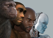 Human Evolution, Conceptual Illustration