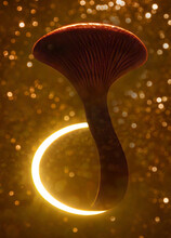 Magic Mushroom, Illustration