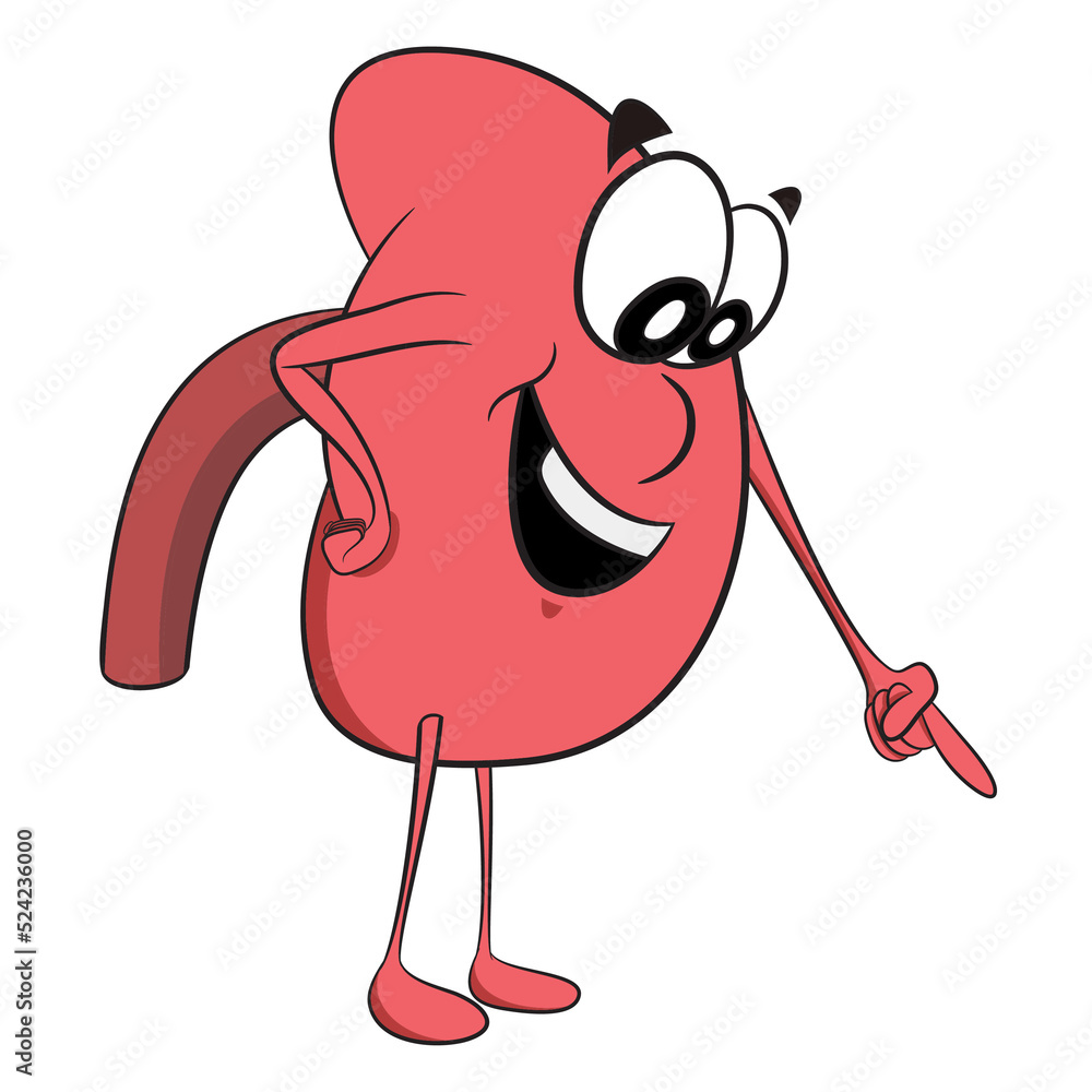 Kidney Character in cartoon style pointing down