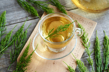 Wall Mural - A cup of horsetail tea with fresh horsetail plant