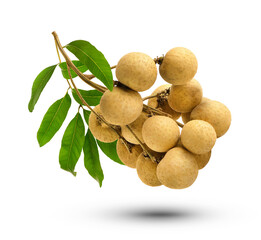 fresh longan with leaf isolated on transparent background (.PNG)