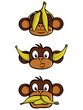  See no evil, Hear no evil, Speak no evil. Three wise monkeys with bananas. Transparent background.