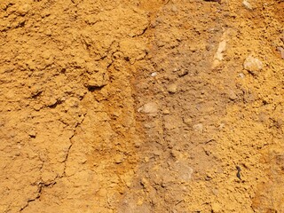 Canvas Print - Close-up of Soil Background