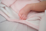 Fototapeta Zwierzęta - Newborn baby foot.