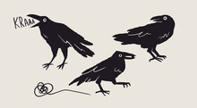 Set Of Black Raven Or Crow Birds. Different Poses. Cartoon Style, Flat Design. Halloween, Horror Concept. Hand Drawn Trendy Vector Illustration. Every Bird Is Isolated