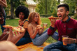 Young adults eating pizza on picnic