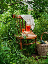 Outdoor Picnic In The Forest. On The Chair There Is A Decanter With Orange Compote And A Glass On The Books. Around Foliage, Greenery. Wicker Basket With A Crop Of Zucchini. Rustic Style In Nature. 