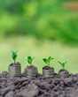 © Aleksandr - Money growth in soil with green leaves and trees concept, business and farming success finance. Agriculture plant seeding growing step concept in garden