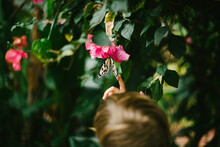 Child Touches Butterfly Wing In Tropical Forest On Pink Flower