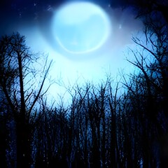 Wall Mural - full moon on a mystical forest lake at night