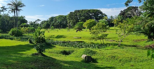 a natural beauty from libreville, gabon
