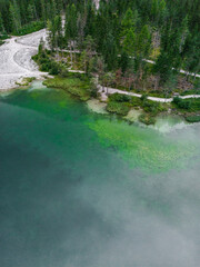 Wall Mural - lake in the forest