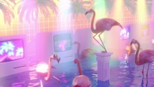 Flamingo Dancing, Dance In The Club Loop Animation