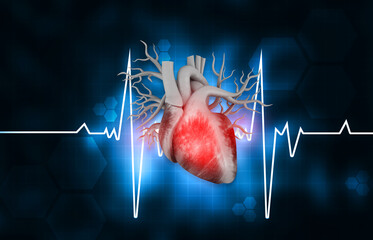 Human heart anatomy with ecg background. 3d illustration