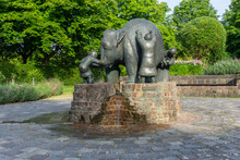 Fountain With An Elephant At The Rheinaue In Bonn