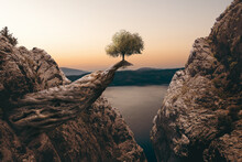 A Small Tree Is Growing On A Huge Log Between Mountains. Unrealistic Fantasy And Miracles Of The Nature Concept