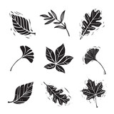 Fototapeta Tulipany - set of linocut styled leaves with shabby elements